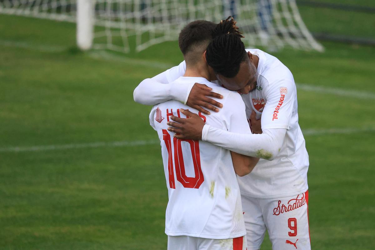 Dinamo - Young Boys, primul amical al „câinilor” în Antalya