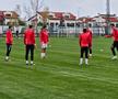 Imagini dinainte de Dinamo - Young Boys Berna