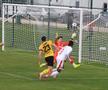 Dinamo și Craiova, amical spate în spate
