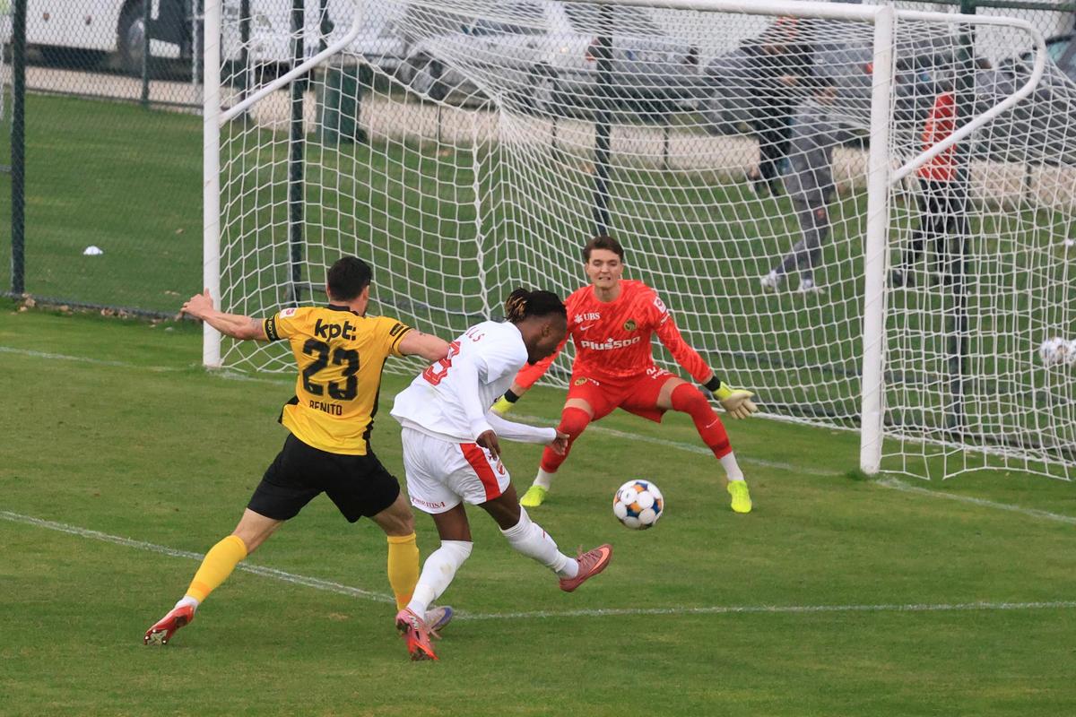 Dinamo - Young Boys, primul amical al „câinilor” în Antalya