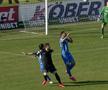 Clinceni - Viitorul arbitraj