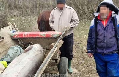 VIDEO Ce s-a întâmplat cu morunul de 140 de kilograme prins în Dunăre » Dosar penal pentru cei doi braconieri