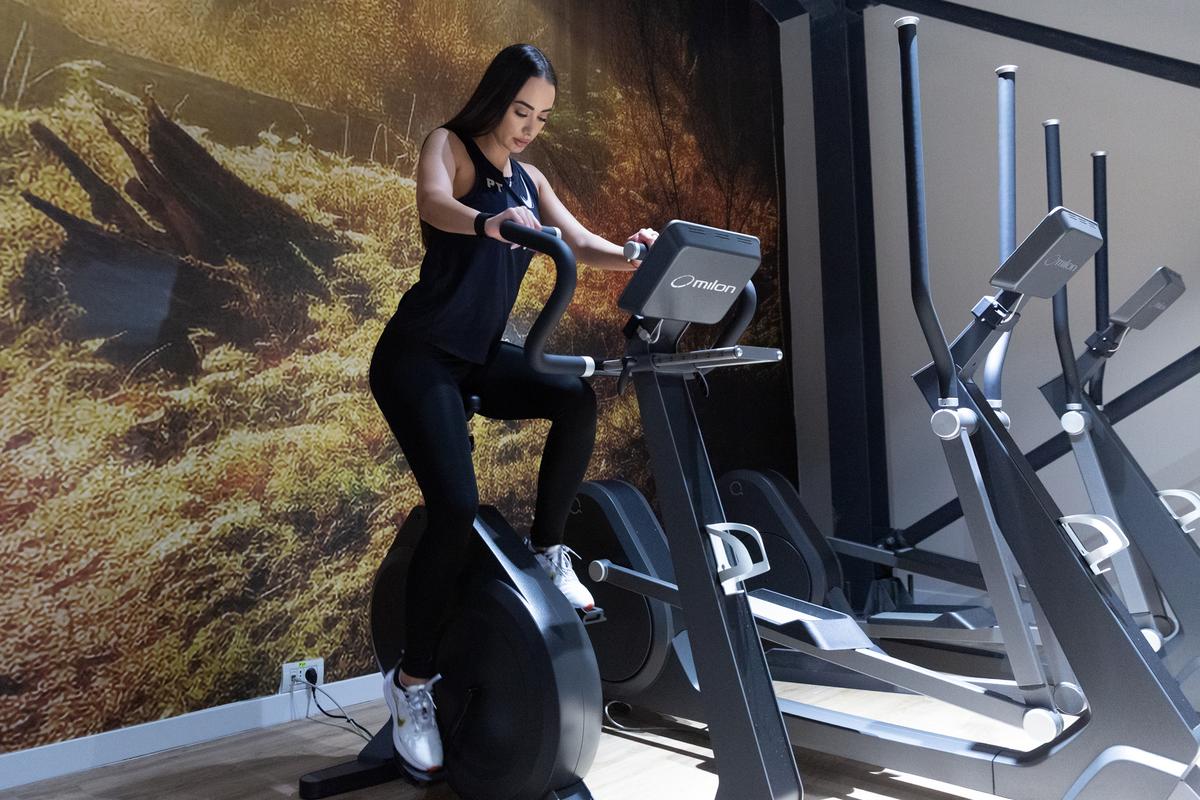 Larisa Boțog AI