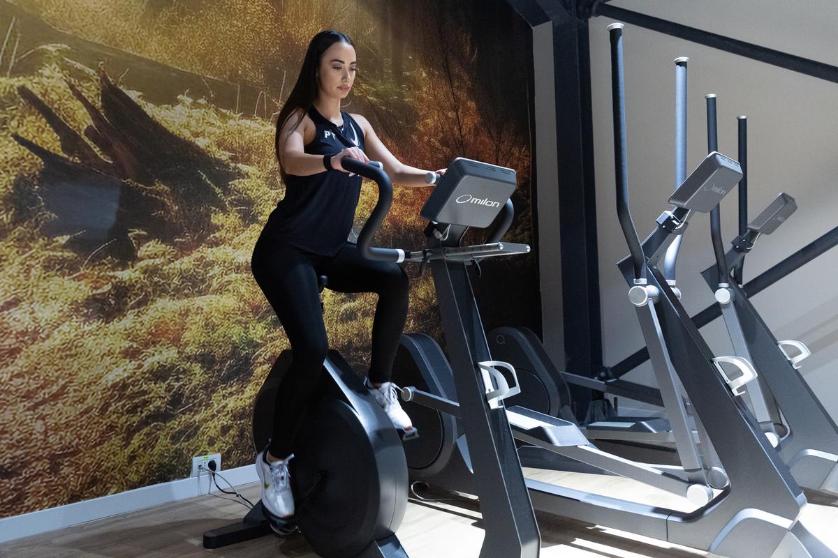 Larisa Boțog AI