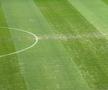 FCSB - U Cluj, imagini înaintea partidei din etapa 30