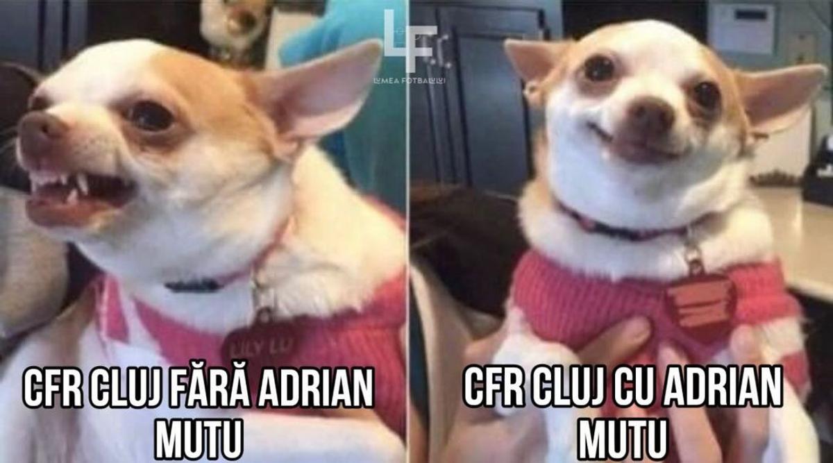 Rapid n-a scăpat! Colecția de glume care a invadat internetul după ce CFR Cluj le-a predat fotbal giuleștenilor