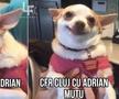 Meme-uri după Rapid - CFR Cluj 1-4