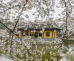 Wuxi, oraș în China / FOTO: Imago