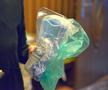 Corona luptă împotriva coronavirus: Mugurel Buga și colegii săi au împărțit vârstnicilor măști și mănuși