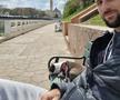 Un sârb stabilit în Oradea povestește ce a trăit în timpul războiului: „Sunau sirenele, fugeam de pe teren în subteran. Am văzut grenade aliniate” + Ce spune despre România