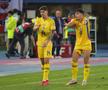 Ce s-a întâmplat imediat după fluierul final din Austria - România: cadre cu Lucescu, Stanciu și Burleanu