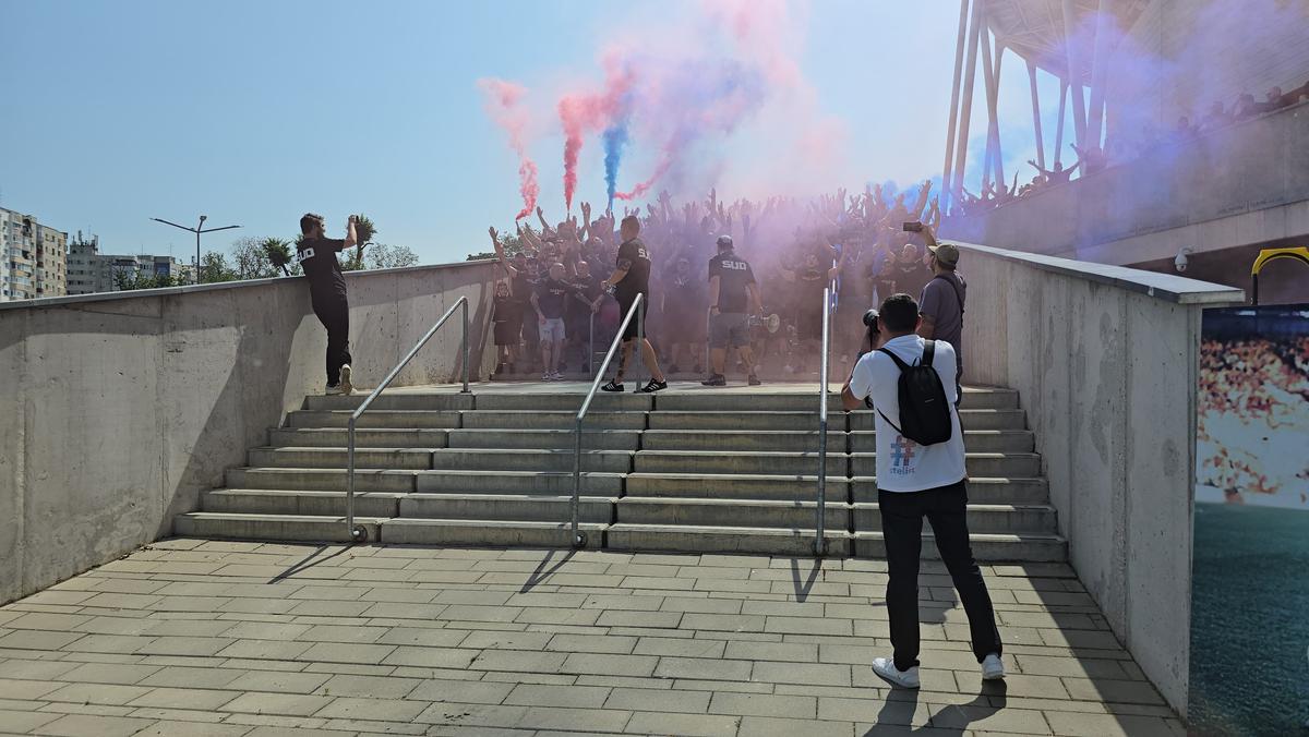 Deschiderea magazinului oficial al Stelei
