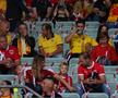 Românii au cucerit stadionul din Viena la meciul cu Austria
