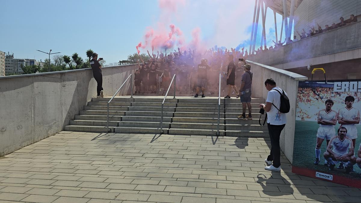 Deschiderea magazinului oficial al Stelei