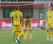 Ce s-a întâmplat imediat după fluierul final din Austria - România: cadre cu Lucescu, Stanciu și Burleanu