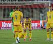 Ce s-a întâmplat imediat după fluierul final din Austria - România: cadre cu Lucescu, Stanciu și Burleanu