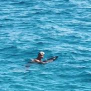 Cristiano Ronaldo, vacanță în Mallorca în ziua înmormântării lui Diogo Jota