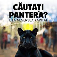Imagini generate cu ia cu pantera neagră/ sursă foto: Facebook