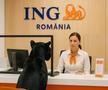 Imagini generate cu ia cu pantera neagră/ sursă foto: Facebook