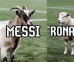 Fără milă » Cristiano Ronaldo, ținta meme-urilor după eliminarea Portugaliei de la Mondial