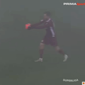 Momentul în care Djokovic îl provoacă pe arbitrul Colțescu să-i acorde cartonașul galben Foto: Captură foto