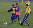 Ionel Ganea