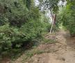Ștrandul rațelor sălbatice » De 4 ani, autoritățile blochează renovarea Bazei Tineretului