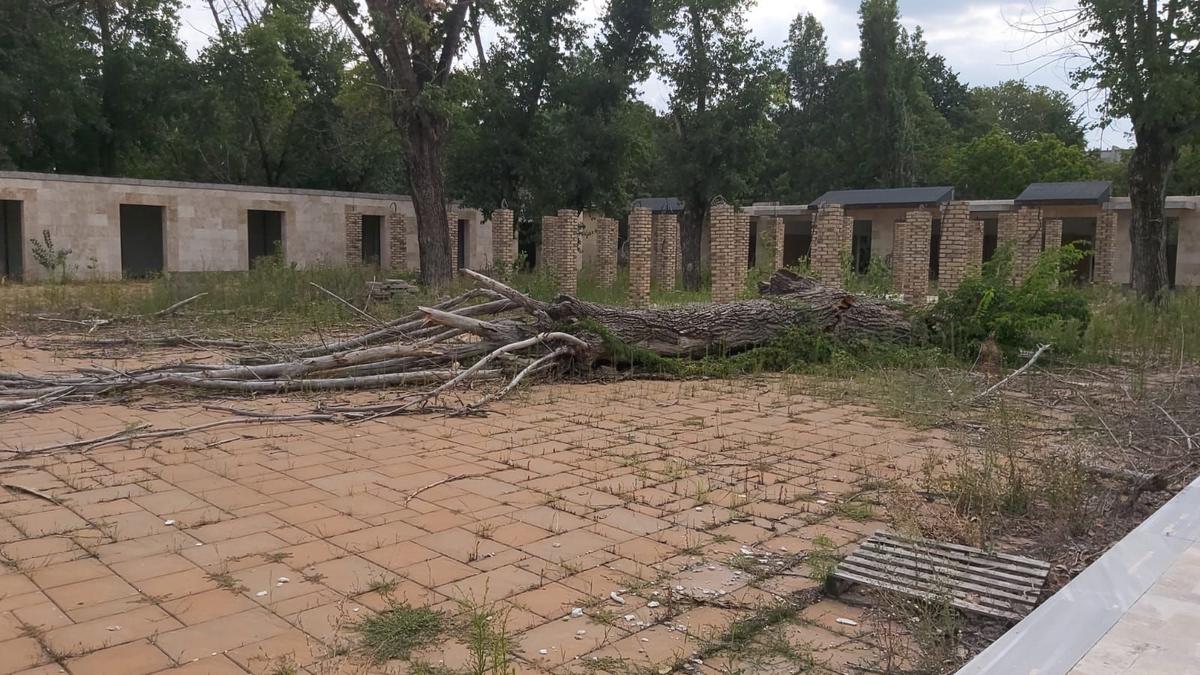 Imaginile nepăsării! Cum arată Baza Tineretului, părăsită de peste 4 ani » Jurassic Park de România: vegetația a „mâncat” bazinul olimpic