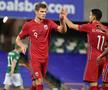 Irlanda de Nord - Norvegia // foto: Guliver/gettyimages