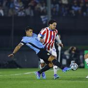 Omagiul adus lui Luis Suarez de către fanii Uruguayului / Sursa foto: Getty Images