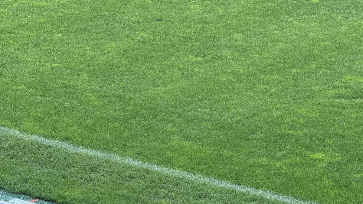 La 2 puncte de Dinamo, rapidiștii au o mare plângere: „Nu se uită nimeni cum arată? E dezastru total!”