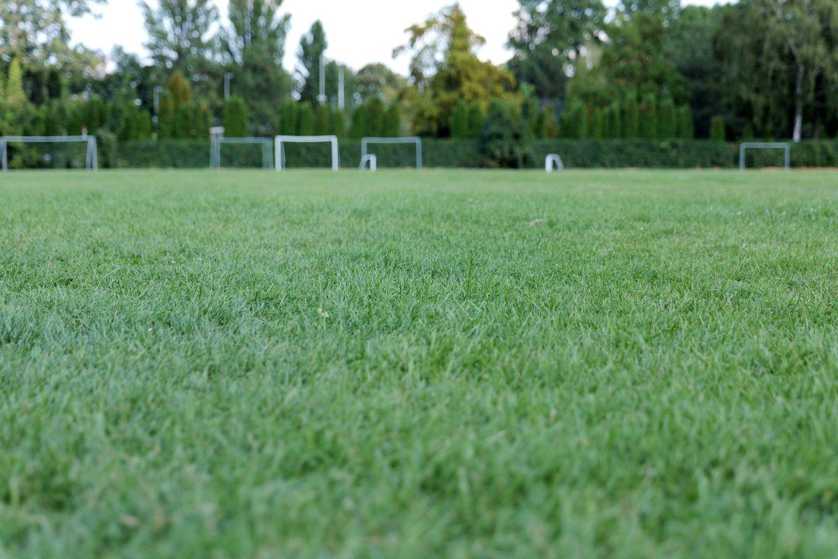 Renaște fotbalul pe un stadion uitat din România, lăsat de izbeliște în ultimii ani » GSP a intrat în bază și are detalii despre noul proiect