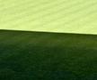 Rapidiștii sunt nemulțumiți de starea gazonului de pe Giulești. Imagine din septembrie 2026. Foto: GSP.RO
