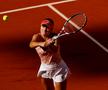 Semifinale Roland Garros