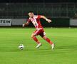 Hermannstadt și-a luat atacant de 1,90m! A fost titular cu Tottenham în Europa League