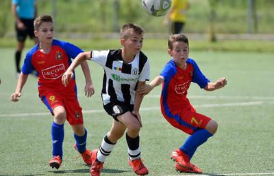 Academiile vor decide licenţele de Liga 1 » FRF schimbă regulamentul!