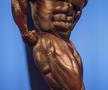 Shawn Rhoden, Mr. Olympia 2018