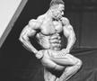 Shawn Rhoden, Mr. Olympia 2018
