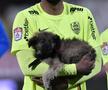 Dinamo, năucită și de CFR Cluj! „Câinii”, fără victorie în Liga 1 din 2 august