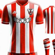 Brentford - cea mai importantă diferență este reprezentată de dispariția culorii negre