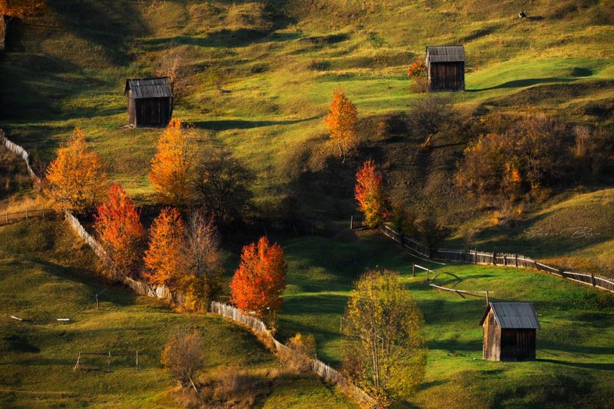 SPECIAL GSP Cine e fotograful Sergiu Bejan, canotorul de calibru cu o pasiune specială: „Prefer aparatul foto în locul la PlayStation”