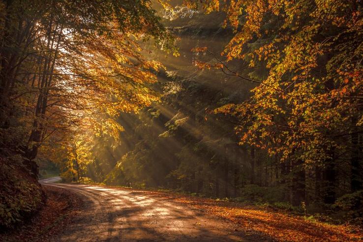 Fotografia care îi trezește cele mai multe emoții lui Sergiu