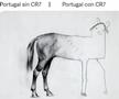 „Portugalia fără Ronaldo vs. Portugalia cu Ronaldo în teren”, Foto: Twitter