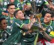 Palmeiras, campioană în Brazilia pentru al doilea an consecutiv // foto: Guliver/gettyimages