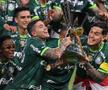 Palmeiras, campioană în Brazilia pentru al doilea an la rând! Senzația de 17 ani a Realului a înscris în meciul decisiv