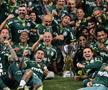 Palmeiras, campioană în Brazilia pentru al doilea an la rând! Senzația de 17 ani a Realului a înscris în meciul decisiv