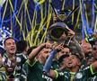 Palmeiras, campioană în Brazilia pentru al doilea an la rând! Senzația de 17 ani a Realului a înscris în meciul decisiv