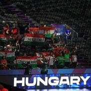 Imagini de la meciul Ungaria - Danemarca FOTO: Ionuţ Iordache (GSP)