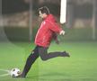 Andrei Nicolescu a făcut anunțul așteptat de fanii lui Dinamo: „Sunt jucători de top, așa cum își dorește Mister!”