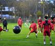 A început deja meciul Petrolul - Dinamo! „Câinii roșii” s-au mutat + Când debutează echipa lui Kopic în 2024